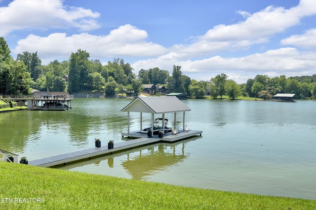 115 Ottawa Pt, Ten Mile, TN 37880 - photo 59
