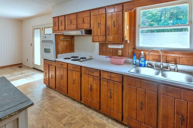 kitchen featuring sink and white appliances