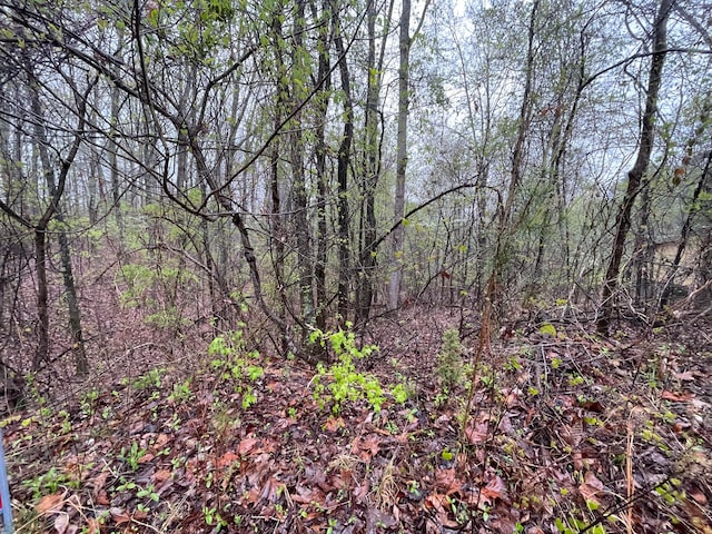 0 Cedar Ln, Spring City TN, 37381 land for sale