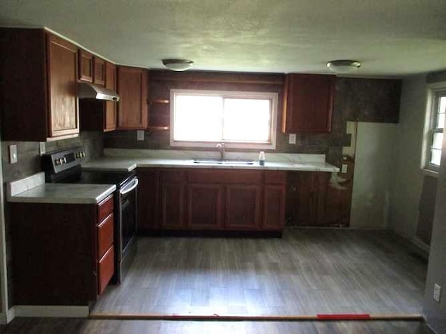 kitchen featuring electric stove, sink, and light wood-type flooring