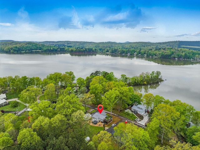 birds eye view of property featuring a water view and a forest view