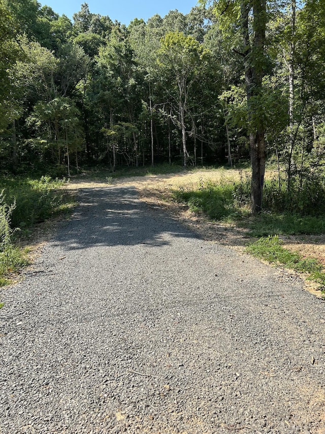 300 County Rd, Riceville, TN 37370 - photo 1