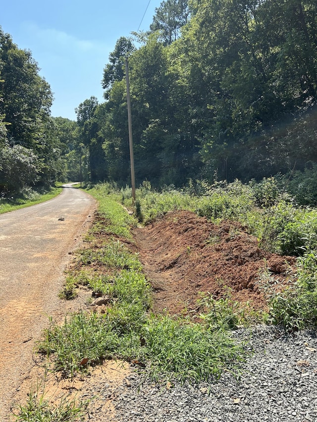 300 County Rd, Riceville, TN 37370 - photo 6