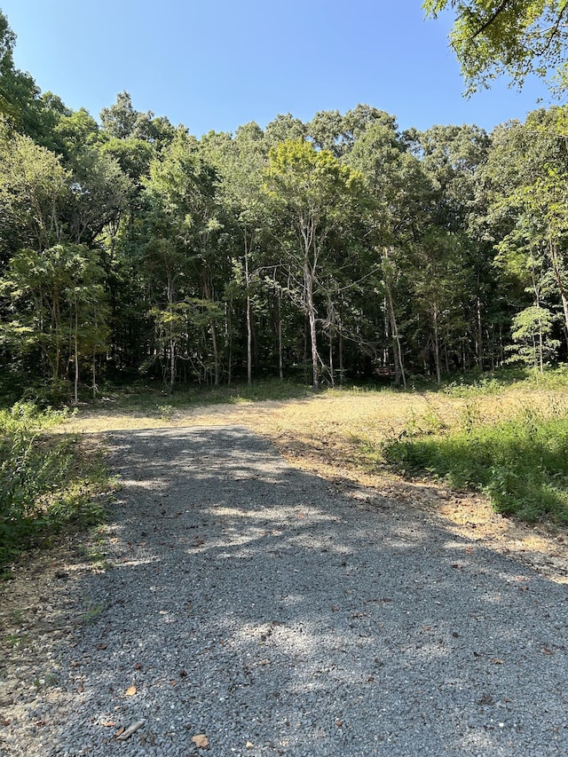 300 County Rd, Riceville, TN 37370 - photo 3
