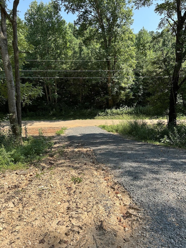 300 County Rd, Riceville, TN 37370 - photo 5