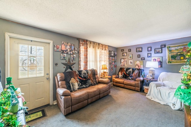 carpeted living area with a textured ceiling