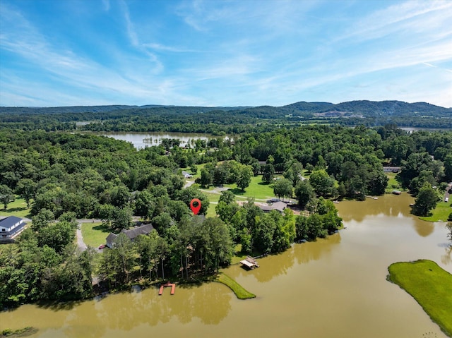 152 Hiwassee Dr, Decatur, TN 37322 - photo 44