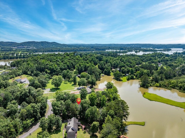 152 Hiwassee Dr, Decatur, TN 37322 - photo 43