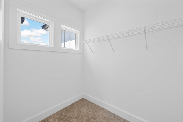8340 Snowdrop Way, Ooltewah, TN 37363 - photo 39