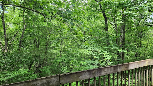 LOT18 Sassafras Ridge Rd, Turtletown, TN 37391 - photo 3