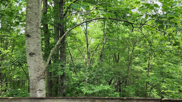 LOT18 Sassafras Ridge Rd, Turtletown, TN 37391 - photo 4