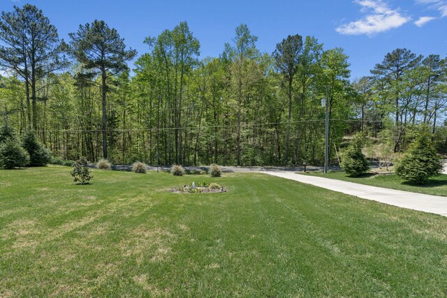 view of yard featuring a wooded view