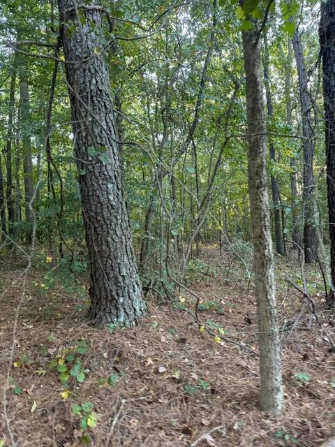 00 SE Gaines Rd, Dalton, GA 30721