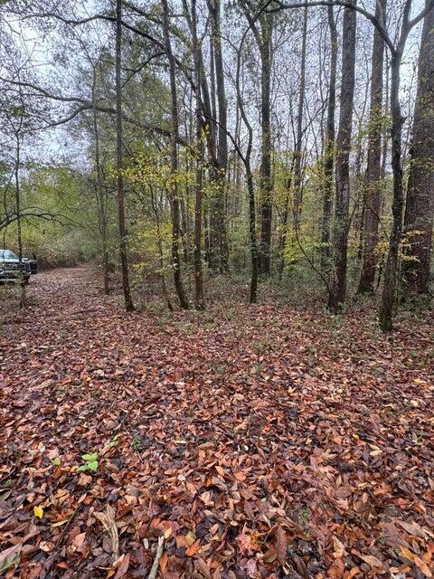 00 SE Gaines Rd, Dalton, GA 30721