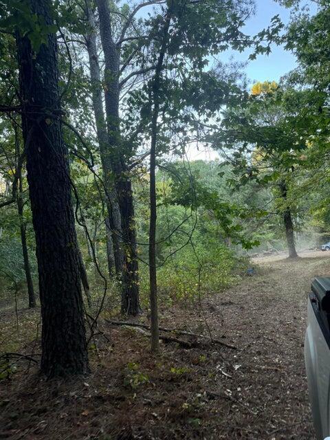00 SE Gaines Rd, Dalton, GA 30721