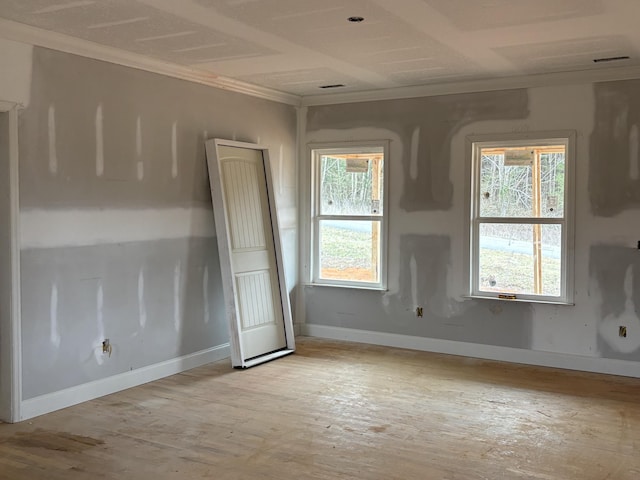 unfurnished room with plenty of natural light and light wood-type flooring