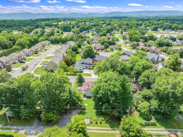 1911 Crest Rd, Maryville, TN 37804 - photo 43