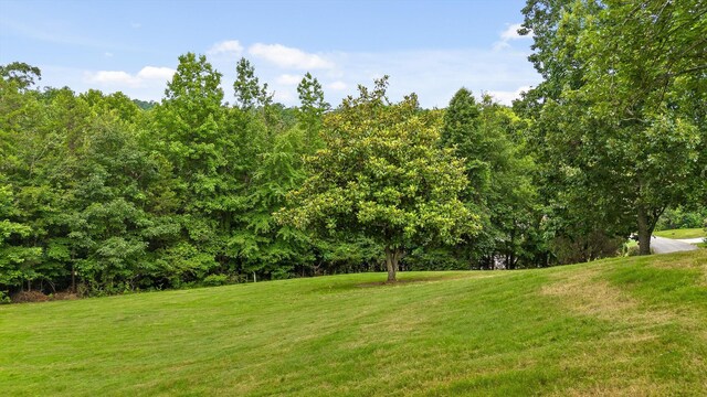 6913 Lake Breeze Dr, Harrison, TN 37341 - photo 58