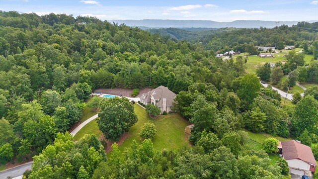 6913 Lake Breeze Dr, Harrison, TN 37341 - photo 60