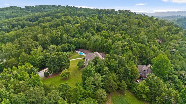 6913 Lake Breeze Dr, Harrison, TN 37341 - photo 61