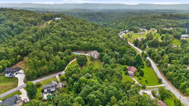 6913 Lake Breeze Dr, Harrison, TN 37341 - photo 67
