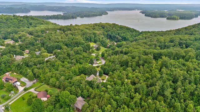 6913 Lake Breeze Dr, Harrison, TN 37341 - photo 6