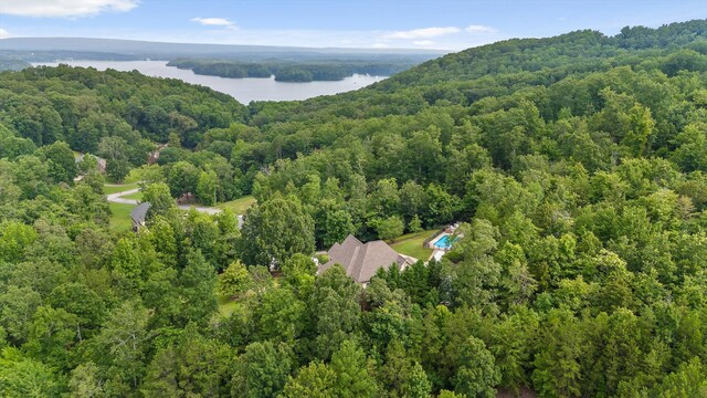 6913 Lake Breeze Dr, Harrison, TN 37341 - photo 62