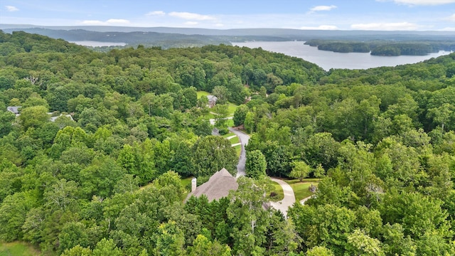 6913 Lake Breeze Dr, Harrison, TN 37341 - photo 63