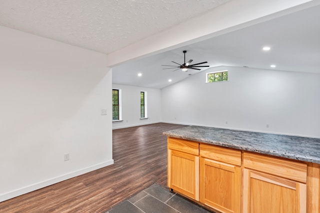 kitchen with dark wood-type flooring, plenty of natural light, lofted ceiling, and ceiling fan