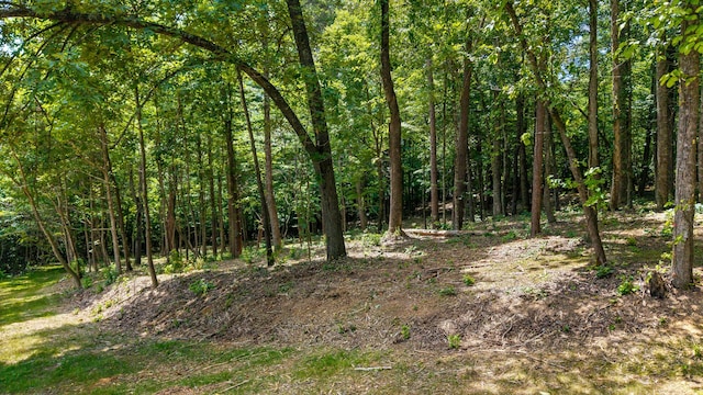 00 Poplar Dr, Sweetwater, TN 37874 - photo 9