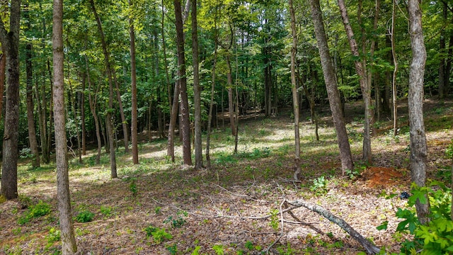 00 Poplar Dr, Sweetwater, TN 37874 - photo 6