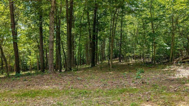 00 Poplar Dr, Sweetwater, TN 37874 - photo 11