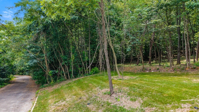 00 Poplar Dr, Sweetwater, TN 37874 - photo 4