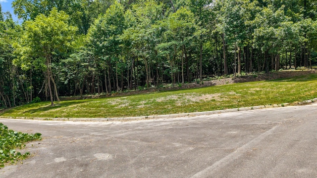 00 Poplar Dr, Sweetwater, TN 37874 - photo 8