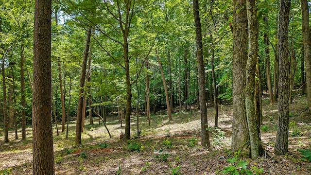 00 Poplar Dr, Sweetwater, TN 37874 - photo 10