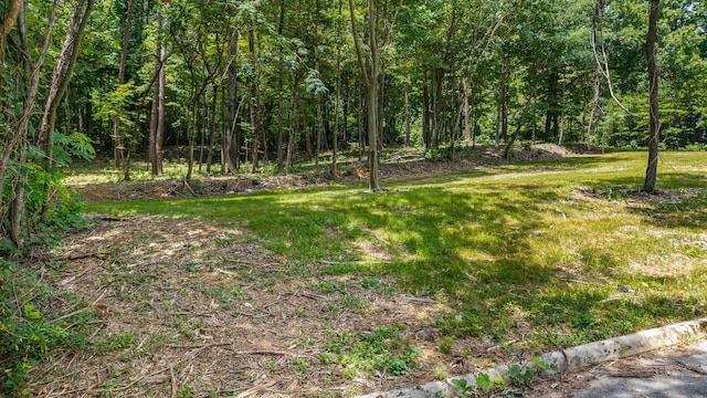 00 Poplar Dr, Sweetwater, TN 37874 - photo 7