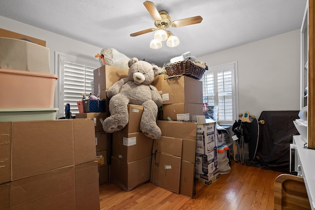 storage with ceiling fan