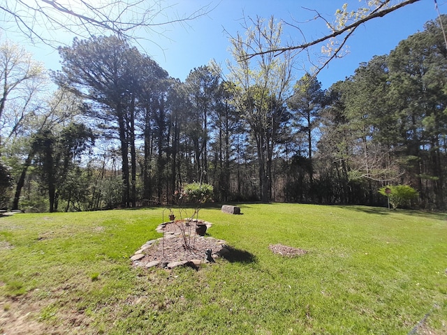 364 Cherokee Trl, Copperhill, TN 37317 - view of yard