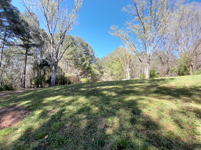 364 Cherokee Trl, Copperhill, TN 37317 - view of yard