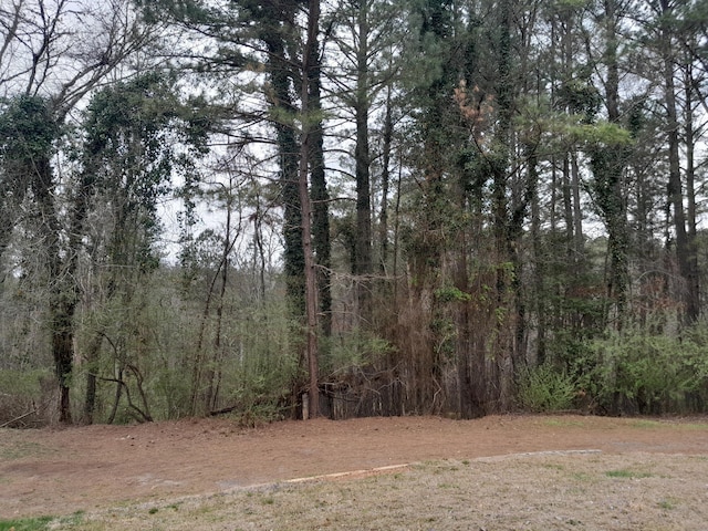 364 Cherokee Trl, Copperhill, TN 37317 - view of landscape featuring a view of trees