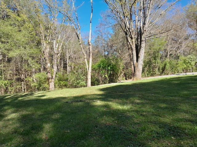 364 Cherokee Trl, Copperhill, TN 37317 - view of yard