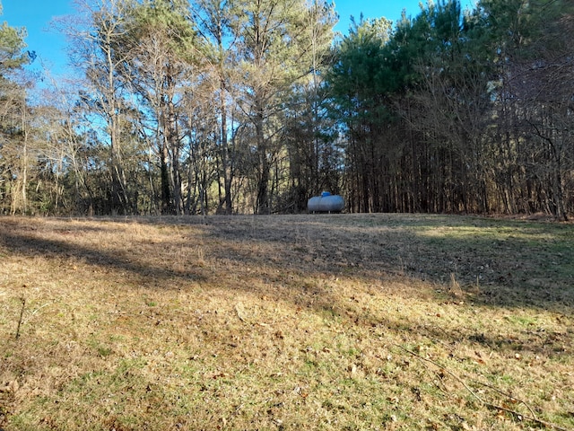 364 Cherokee Trl, Copperhill, TN 37317 - view of nature