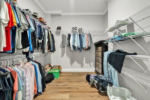 walk in closet featuring hardwood / wood-style flooring