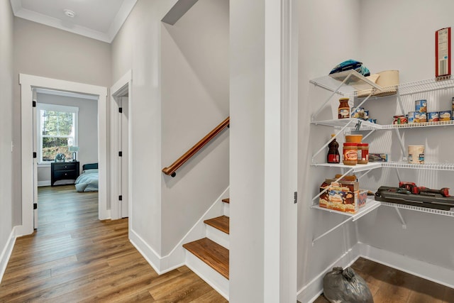 interior space with hardwood / wood-style flooring and ornamental molding