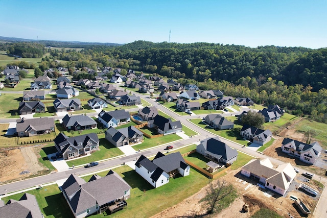 bird's eye view