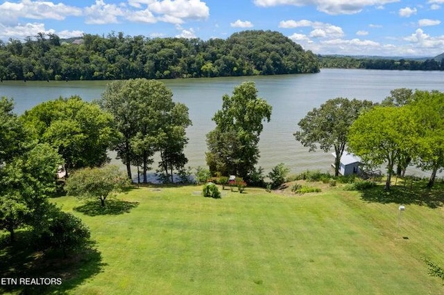 178 Marble Bluff Dr, Kingston, TN 37763 - photo 31