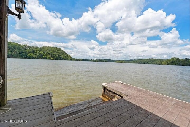 178 Marble Bluff Dr, Kingston, TN 37763 - photo 6