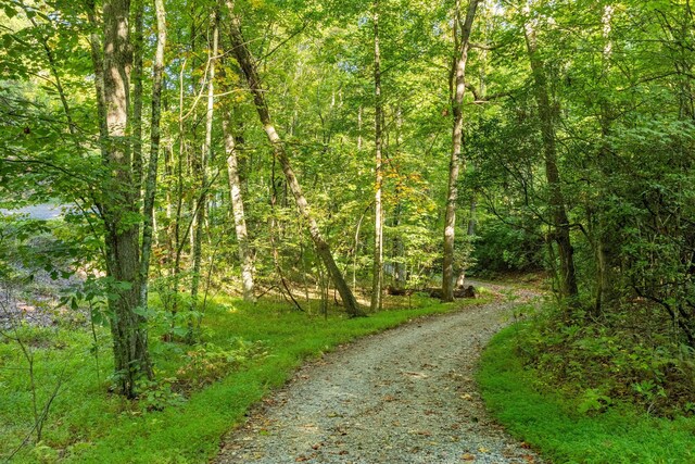 884 Ducks Nest Rd, Turtletown, TN 37391 - view of street featuring a wooded view