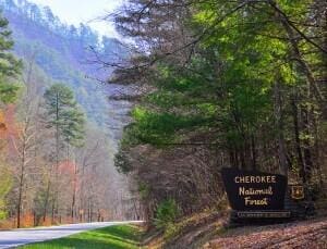 884 Ducks Nest Rd, Turtletown, TN 37391 - surrounding community featuring a forest view