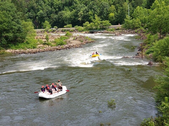 884 Ducks Nest Rd, Turtletown, TN 37391 - water view featuring a forest